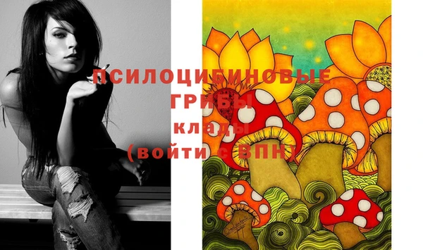 не бодяженный Алзамай