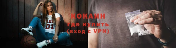 соль ск Алексеевка